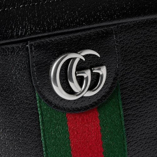 the-gucci-ophidia-medium-backpack-blends